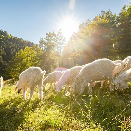 Au Mohair Des Alpy Pensión 3*